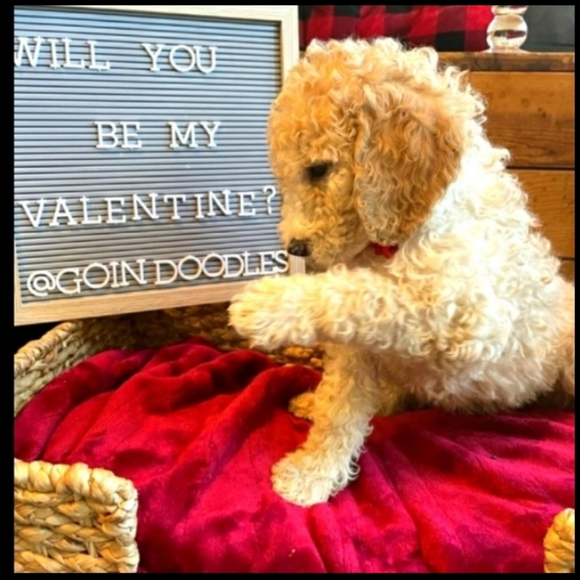 🏄 BILLABONG AQUA Tee RON JON SURF SHOP 🏄 VNPLVC VINTAGE - Picture 2 of 16